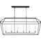 Quoizel Aviary Linear Chandelier AVY654PN - alternate 2